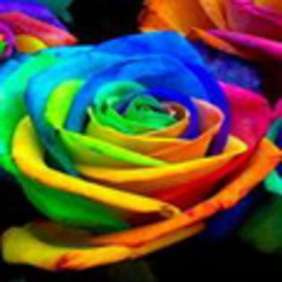 avatare_flori_843
