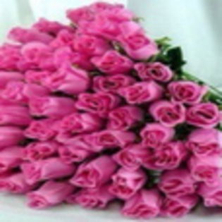 avatare_flori_846
