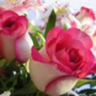 avatare_flori_367 - xo_Flori_xo