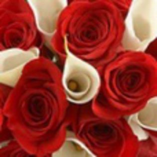 avatare_flori_369 - xo_Flori_xo