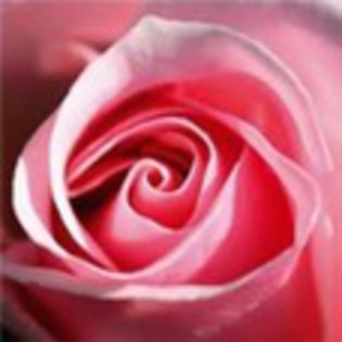avatare_flori_281 - xo_Flori_xo