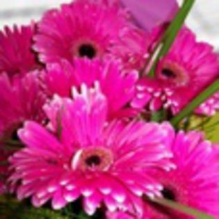 avatare_flori_262