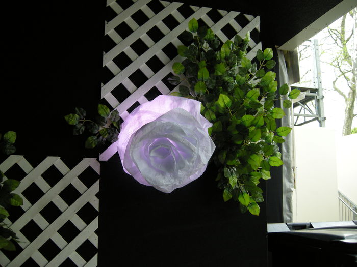 DSCN4242