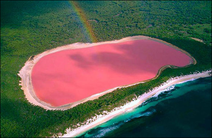 Lacul Hillier-Australia; L=600m;culoare naturala si permanente-roz
