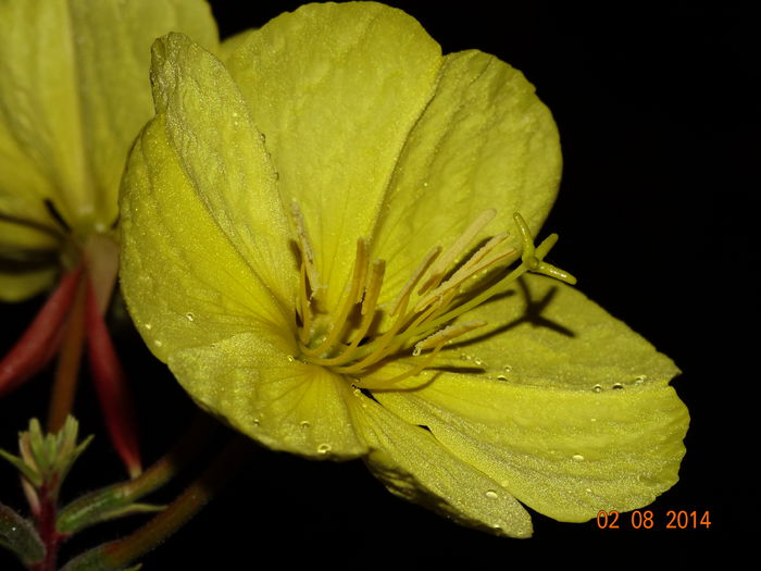 DSC06223