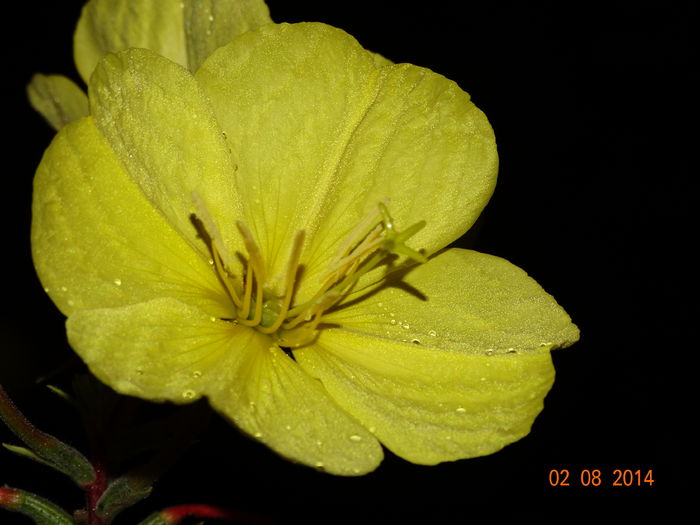 DSC06224