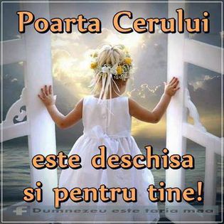 1383775_438891052922765_1554244191_n