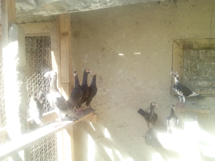 IMG_20140830_102809_1