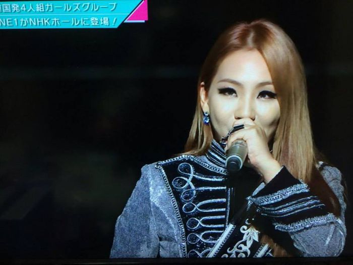 10553382_728692013864907_8077613645137393355_n - 2NE1 NEW 2014 PHOTO