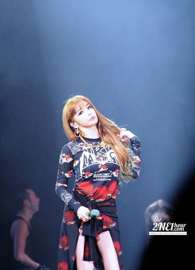 10583874_826796107344163_8905372158778424435_n - 2NE1 NEW 2014 PHOTO