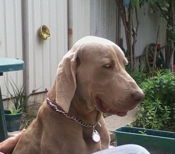 IMG_20140513_100734-1