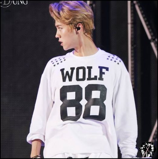 140815luhanSMTOWNLIVEWorldTourinSeoul5438