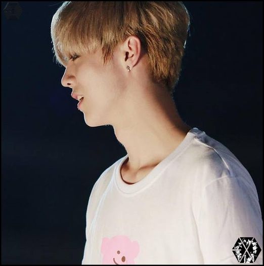 140815luhanSMTOWNLIVEWorldTourinSeoul8643 - exo - 140815 Luhan - SMTOWN LIVE World Tour in Seoul