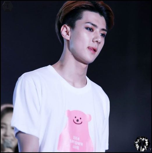 140815sehunSMTOWNLIVEWorldTourinSeoul1446 - exo - 140815 Sehun - SMTOWN LIVE World Tour in Seoul