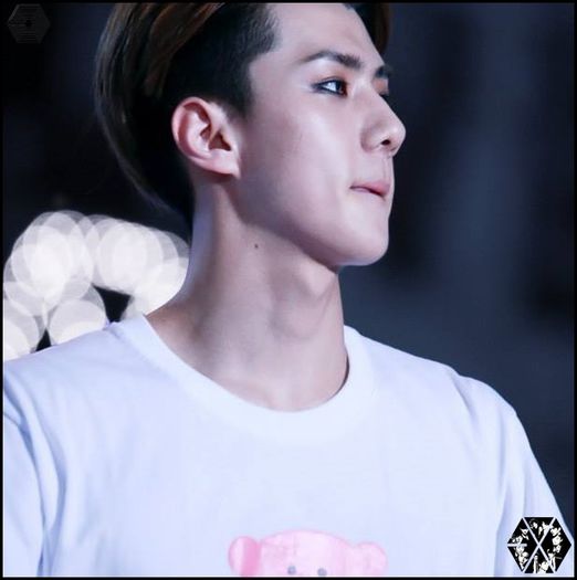 140815sehunSMTOWNLIVEWorldTourinSeoul1936 - exo - 140815 Sehun - SMTOWN LIVE World Tour in Seoul