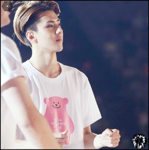 140815sehunSMTOWNLIVEWorldTourinSeoul3426