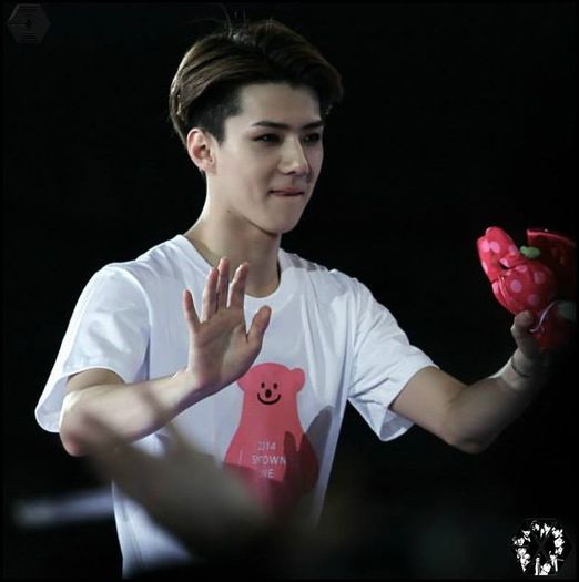 140815sehunSMTOWNLIVEWorldTourinSeoul4185