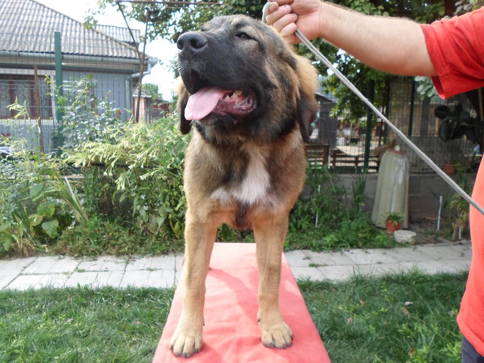 SAM_0602
