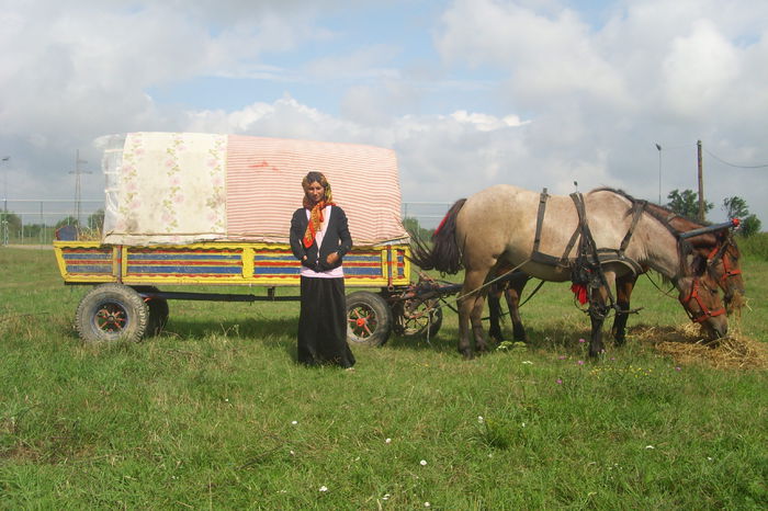 Poze 723 - Expozitia de cai Tauteu 16-08-2014
