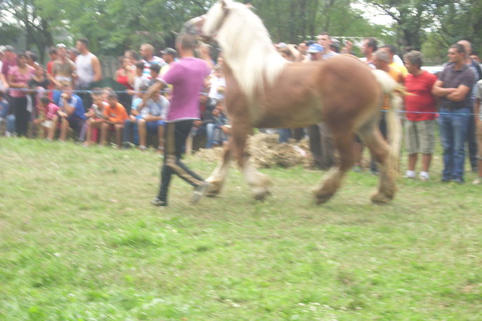 Poze 800