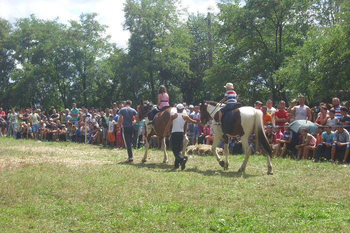 Poze 820 - Expozitia de cai Tauteu 16-08-2014