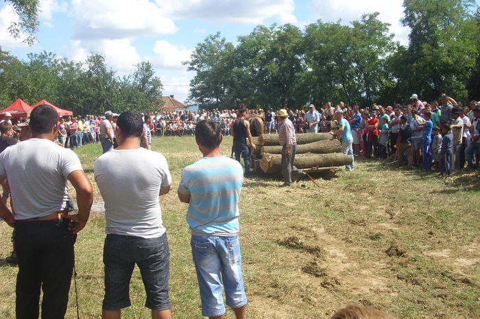 Poze 891 - Expozitia de cai Tauteu 16-08-2014