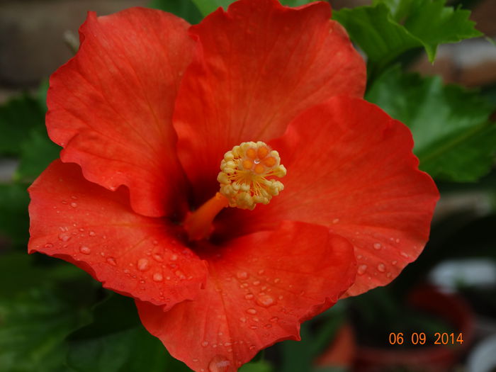 DSC07565