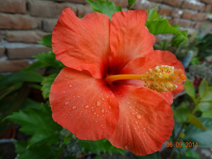 DSC07575