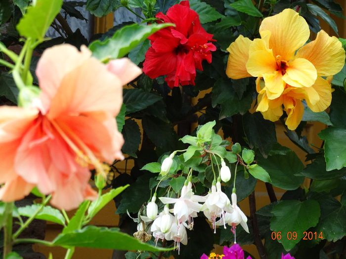 DSC07590