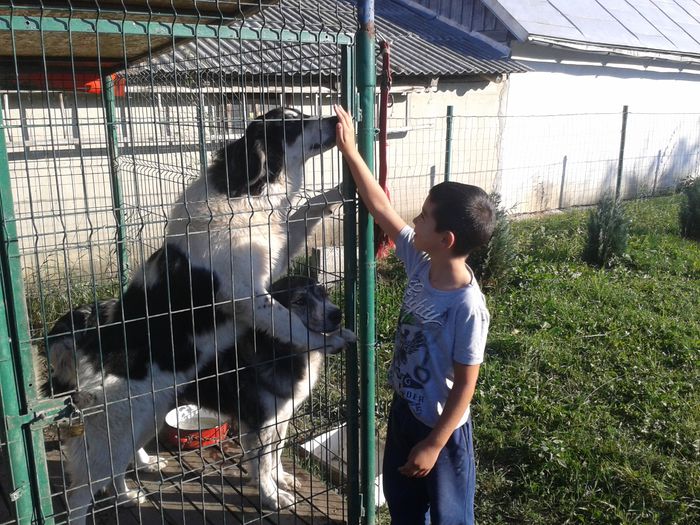 Tora,Alma cu baiatul meu