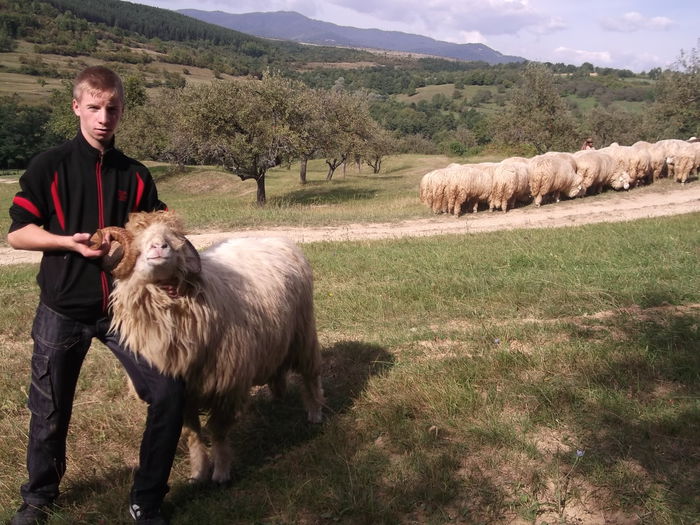 video 102 - Berbeci 2o14-2015