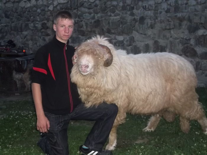 video 138 - Berbeci 2o14-2015