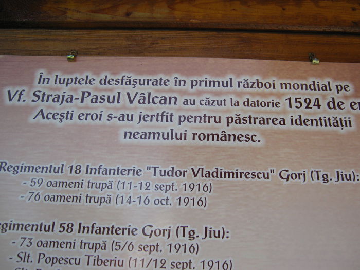 IMG_9100 - STRAJA-Muntii Valcan