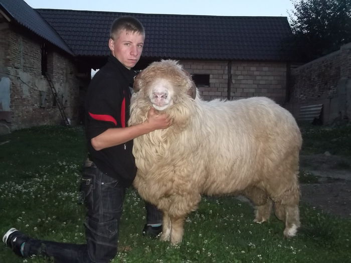 video 159 - Berbeci 2o14-2015