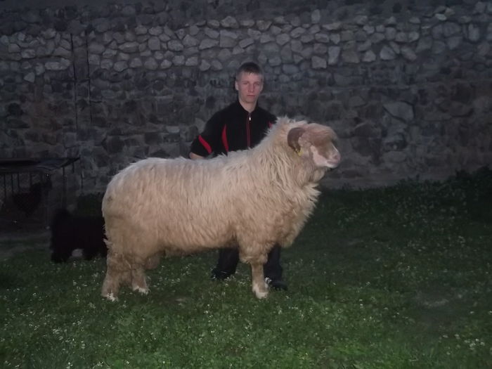 video 162 - Berbeci 2o14-2015