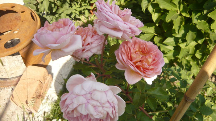 058 - engl Abraham darby