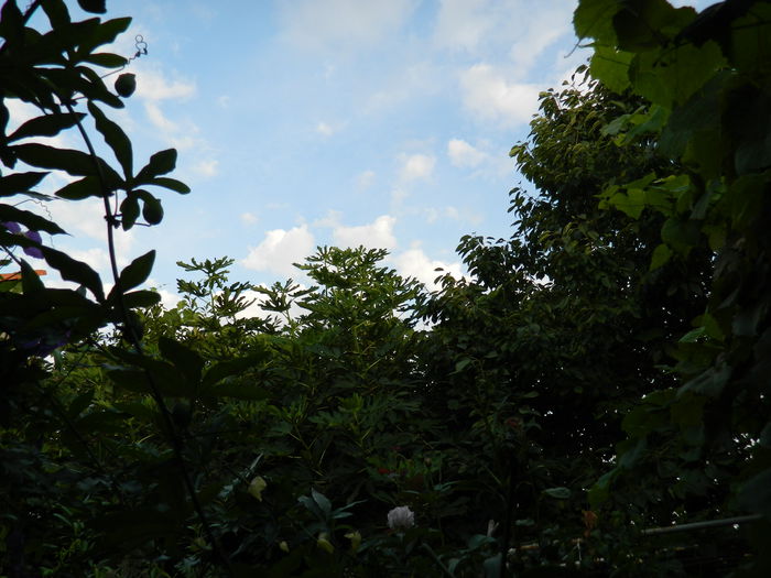 DSCN8378 - SEPTEMBRIE_2014