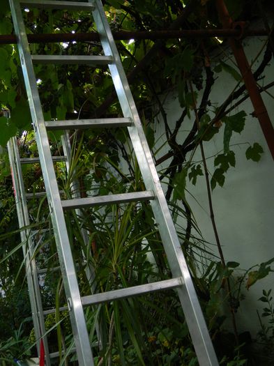 DSCN8399 - SEPTEMBRIE_2014