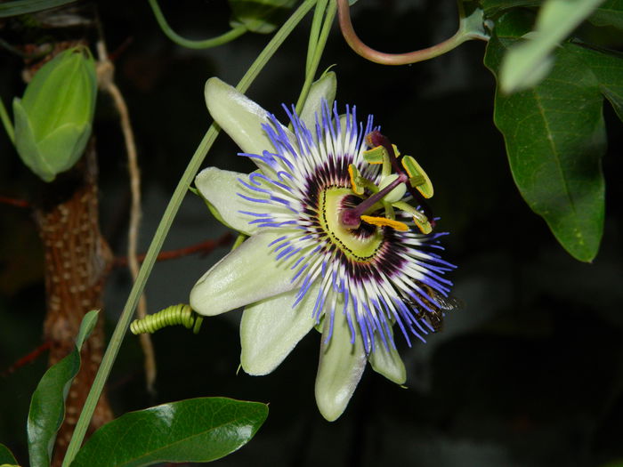 DSCN8400 - SEPTEMBRIE_2014