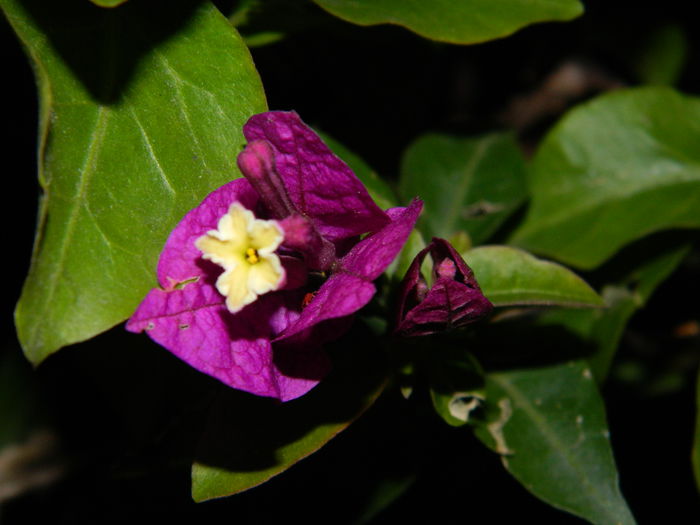 DSCN8425 - SEPTEMBRIE_2014