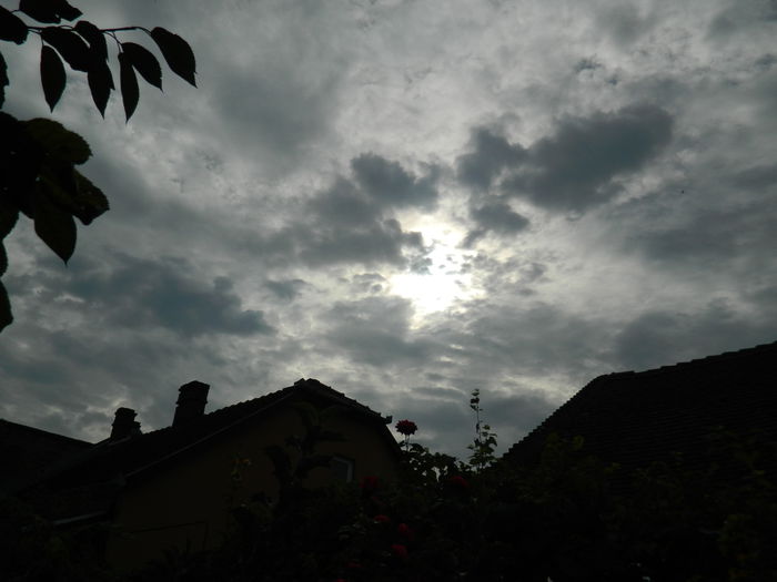 DSCN8454 - SEPTEMBRIE_2014