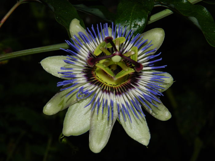 DSCN8465 - SEPTEMBRIE_2014