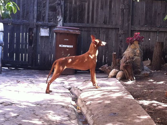 10602699_823348701031574_2002401494_n