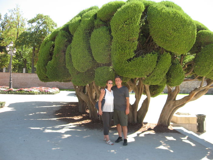 IMG_5802 - Concediu Madrid 2014