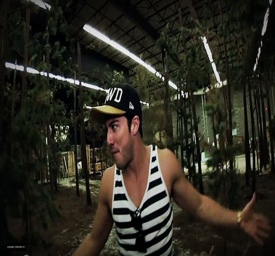 #► Pai si daca nu ma trece eu ce fac?... #steff=))