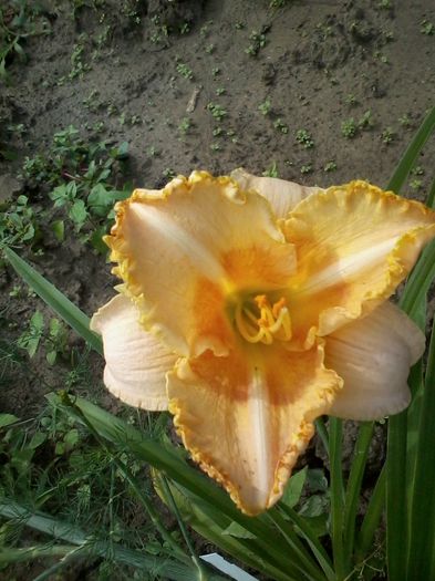 2014-06-26 16.32.18