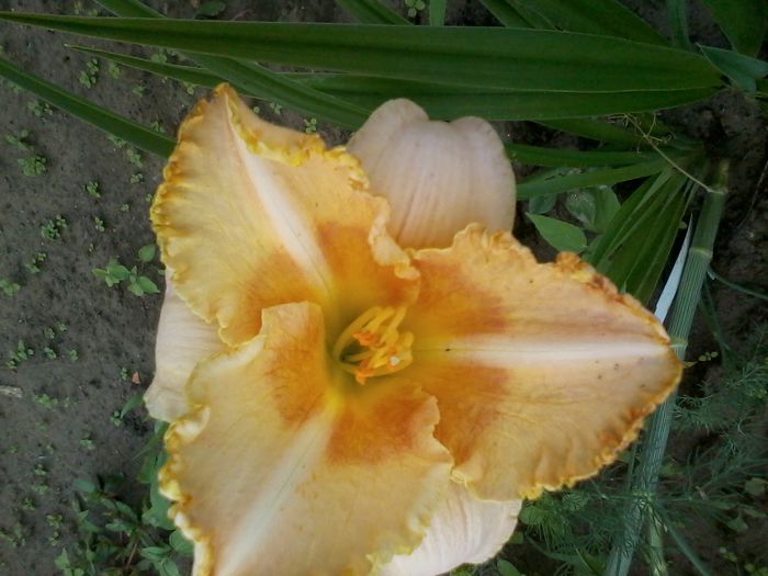 2014-06-26 17.41.44