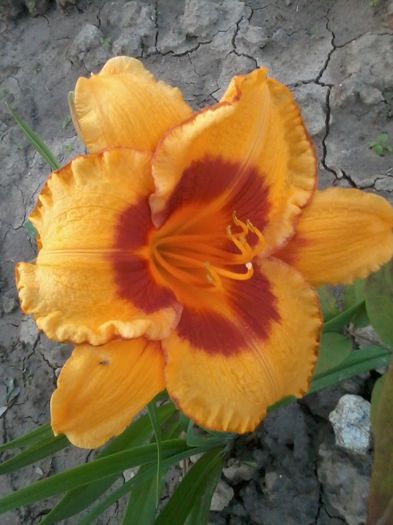 2014-06-28 20.53.18