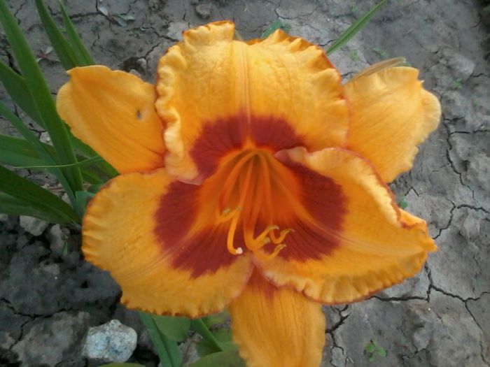 2014-06-28 20.53.24