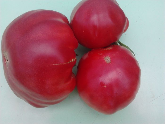 Omars Libanese - Tomate 2013-2014